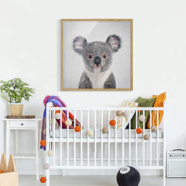 Indrammede plakater dyr Baby Koala Klara
