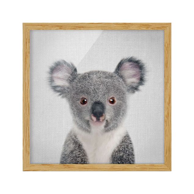 Billeder moderne Baby Koala Klara