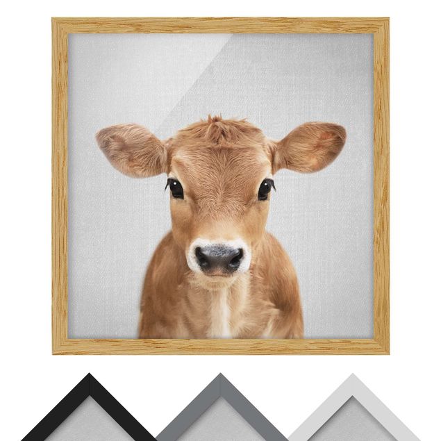 Billeder Gal Design Baby Cow Kira