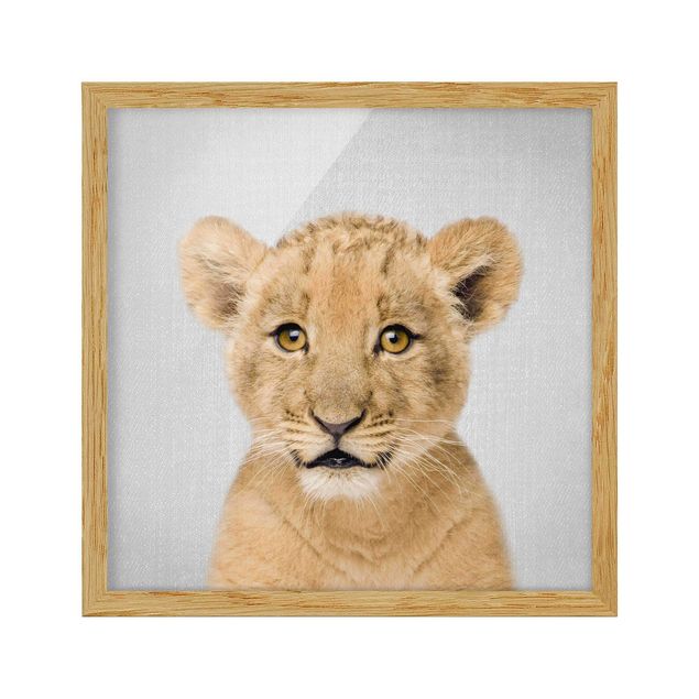 Indrammede plakater dyr Baby Lion Luca