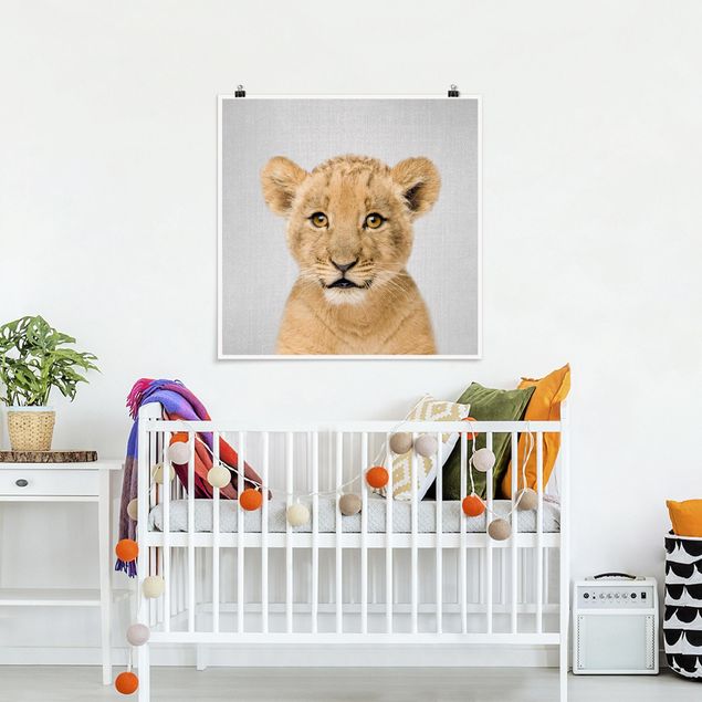 Billeder lions Baby Lion Luca