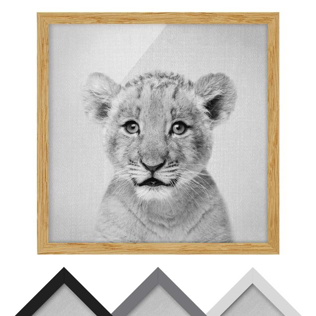 Billeder sort og hvid Baby Lion Luca Black And White