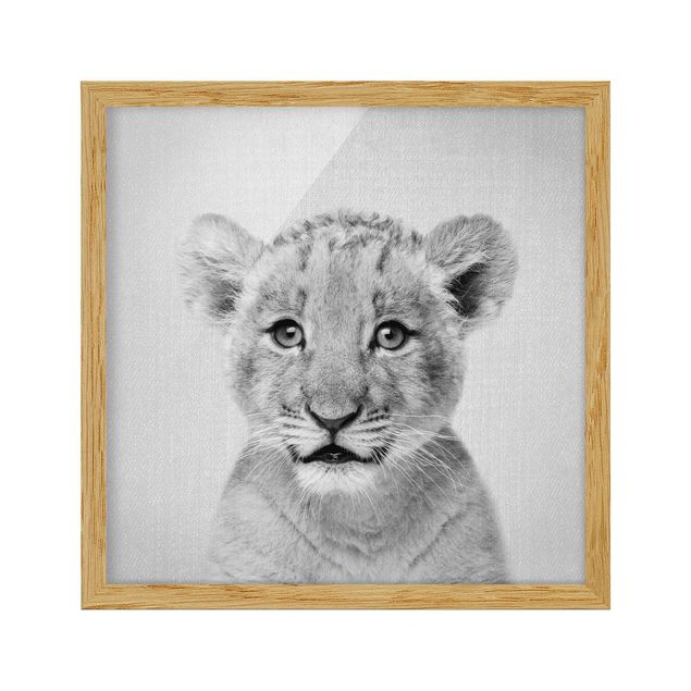 Indrammede plakater dyr Baby Lion Luca Black And White