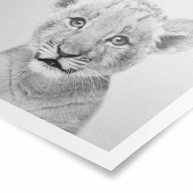 Billeder moderne Baby Lion Luca Black And White