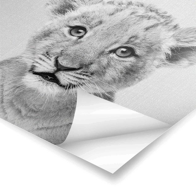 Billeder Gal Design Baby Lion Luca Black And White