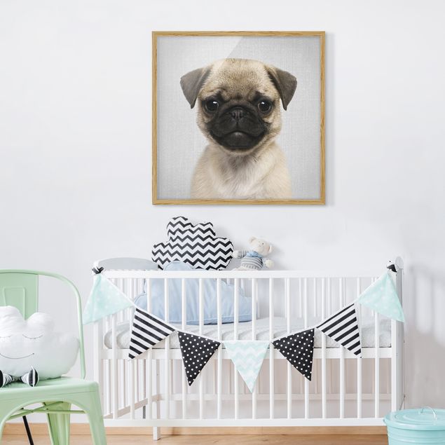 Indrammede plakater sort og hvid Baby Pug Moritz