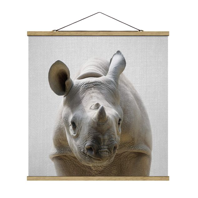 Billeder moderne Baby Rhinoceros Nina