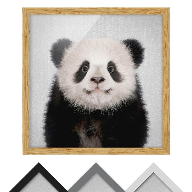 Billeder sort og hvid Baby Panda Prian