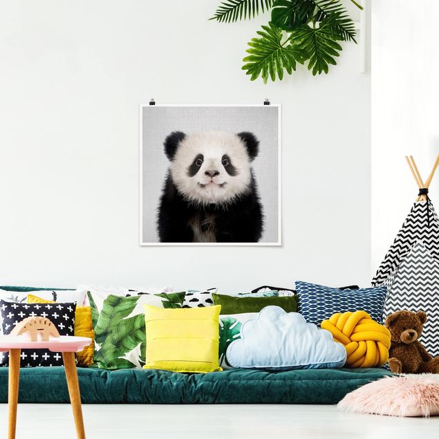Billeder pandaer Baby Panda Prian