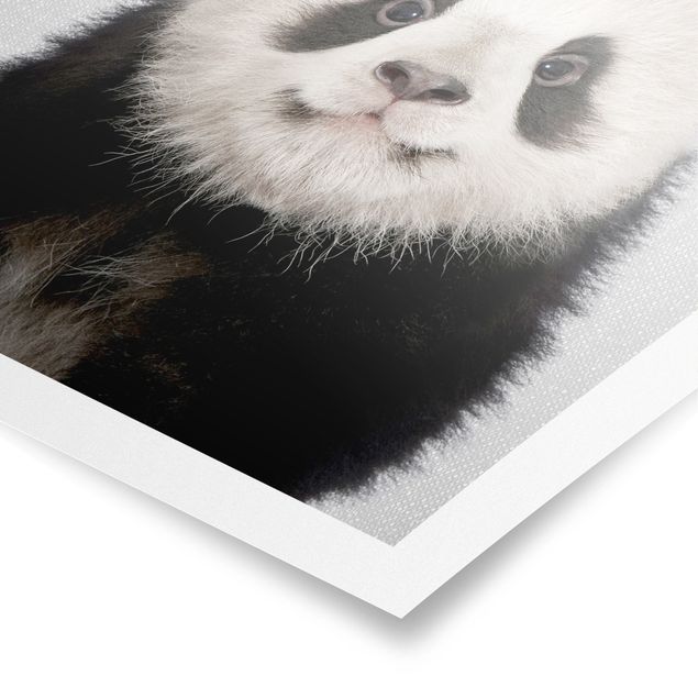 Billeder moderne Baby Panda Prian