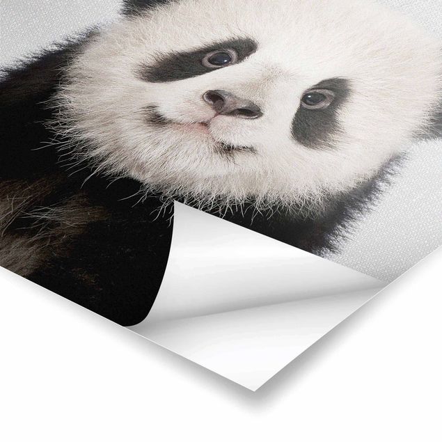 Billeder Gal Design Baby Panda Prian