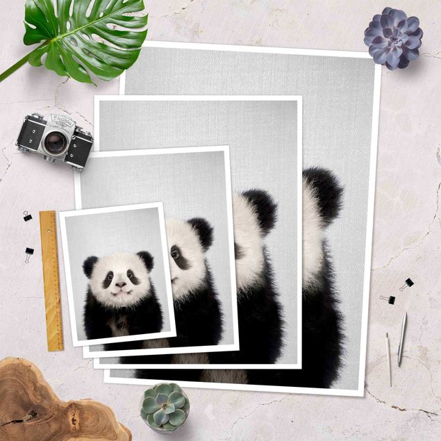 Billeder Baby Panda Prian