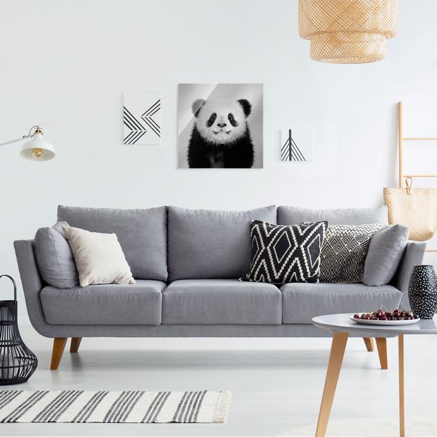 Glasbilleder sort og hvid Baby Panda Prian Black And White