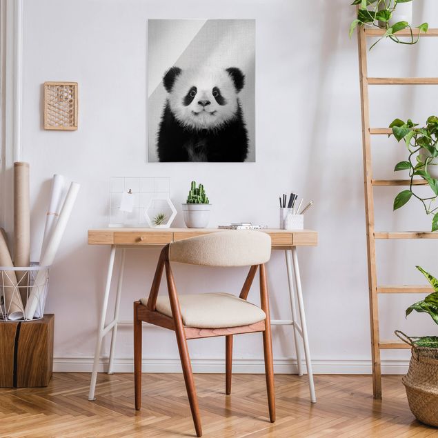 Glasbilleder dyr Baby Panda Prian Black And White