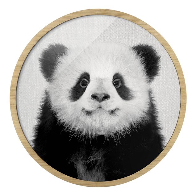 Indrammede plakater dyr Baby Panda Prian Black And White