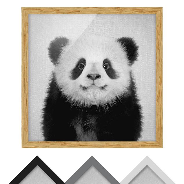 Billeder sort og hvid Baby Panda Prian Black And White