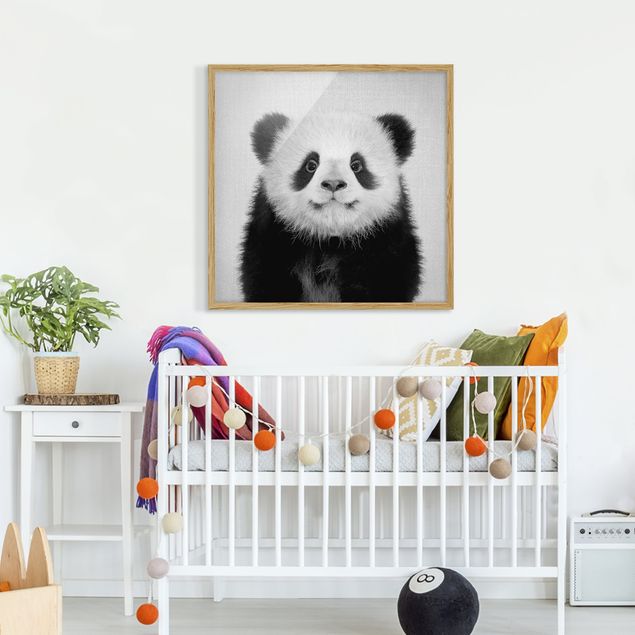 Indrammede plakater sort og hvid Baby Panda Prian Black And White
