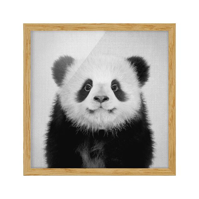 Indrammede plakater dyr Baby Panda Prian Black And White