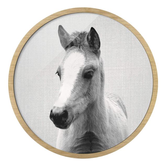Indrammede plakater dyr Baby Horse Philipp Black And White