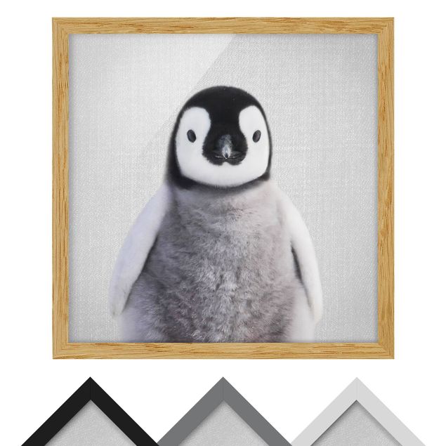 Billeder Gal Design Baby Penguin Pepe