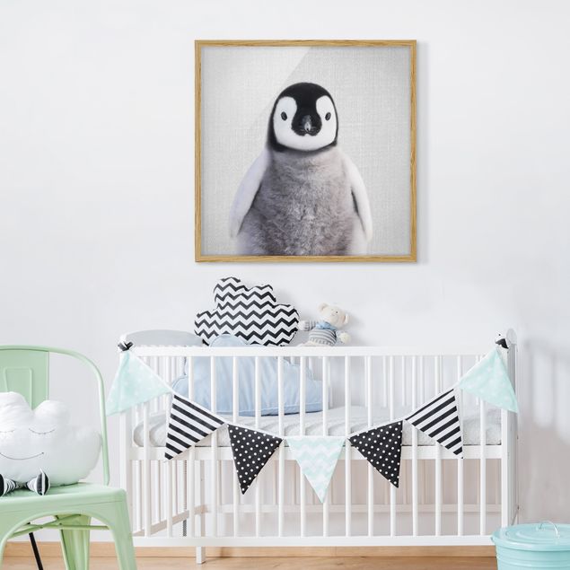 Indrammede plakater dyr Baby Penguin Pepe