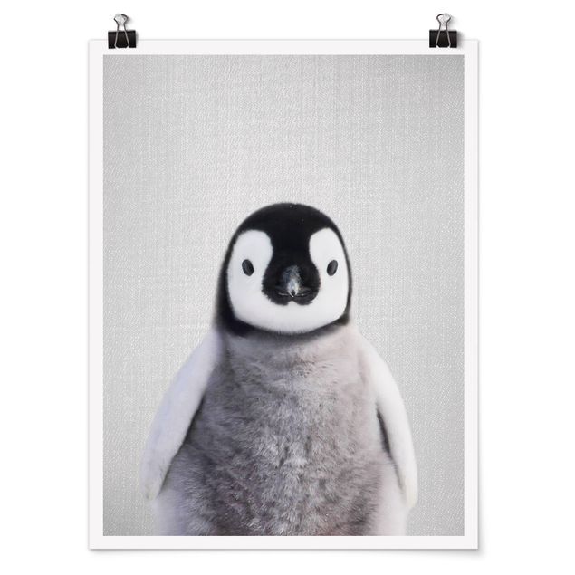 Billeder moderne Baby Penguin Pepe