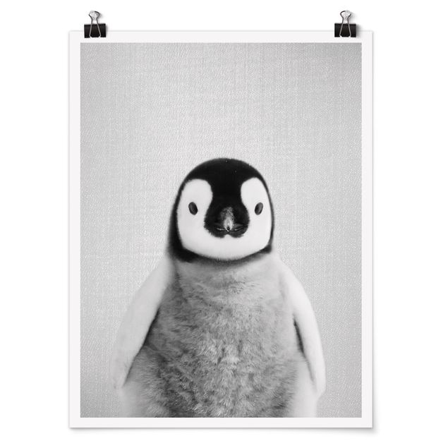 Billeder moderne Baby Penguin Pepe Black And White