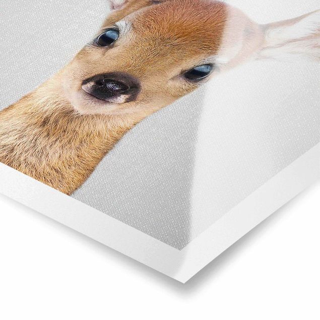 Billeder Gal Design Baby Roe Deer Romy