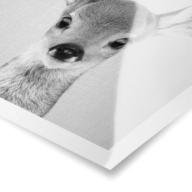 Billeder Gal Design Baby Roe Deer Romy Black And White