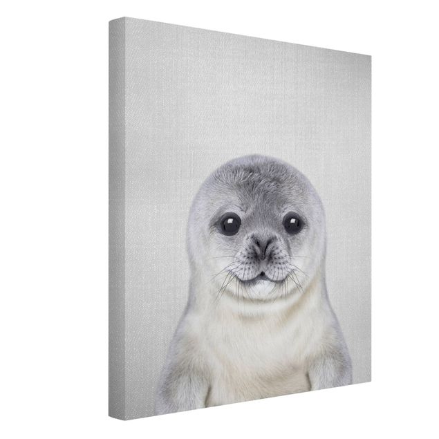 Billeder på lærred dyr Baby Seal Ronny