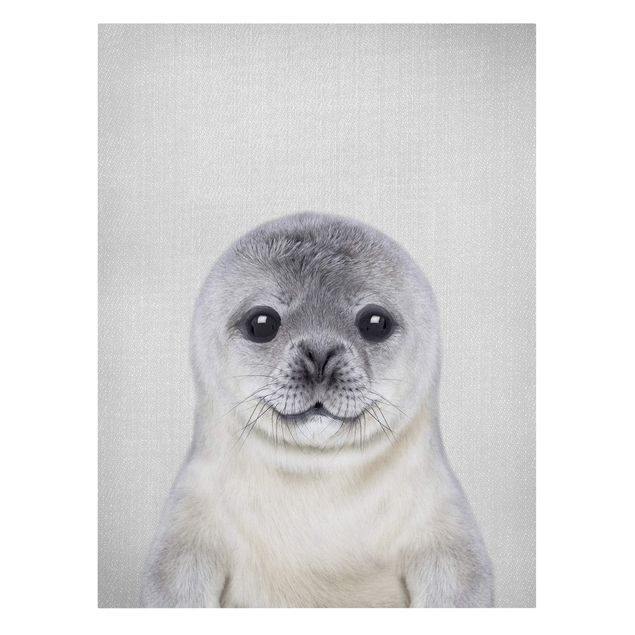 Billeder moderne Baby Seal Ronny