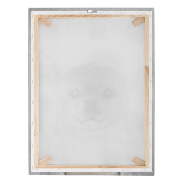 Billeder Gal Design Baby Seal Ronny