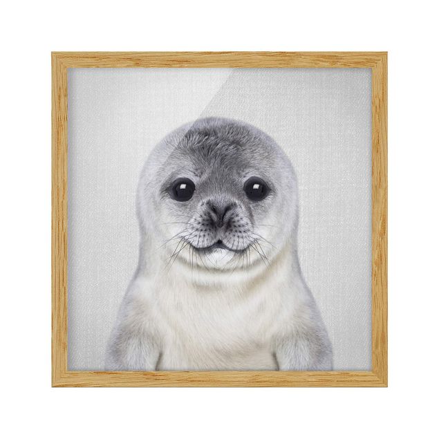 Billeder moderne Baby Seal Ronny