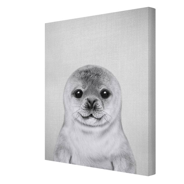 Billeder sort og hvid Baby Seal Ronny Black And White