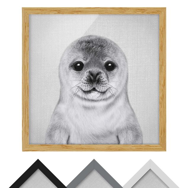 Billeder Gal Design Baby Seal Ronny Black And White