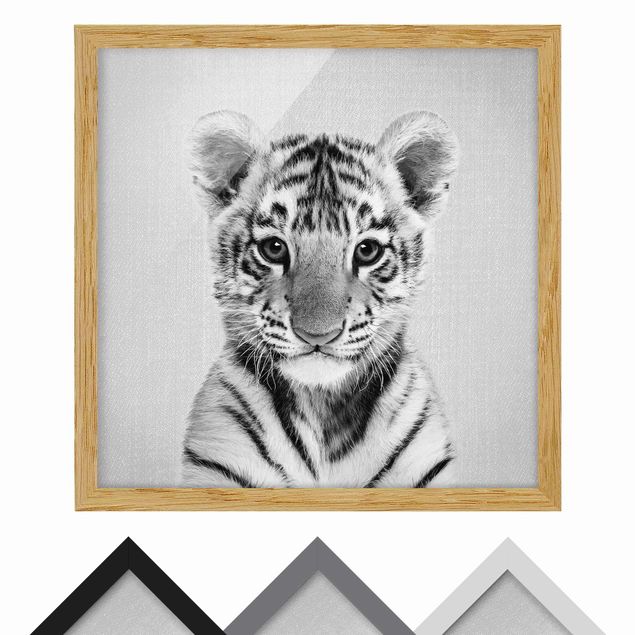 Billeder sort og hvid Baby Tiger Thor Black And White
