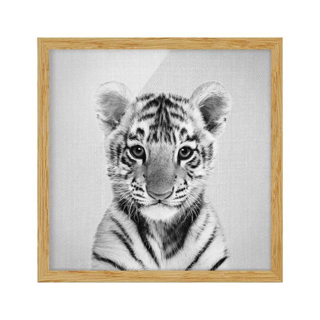 Indrammede plakater dyr Baby Tiger Thor Black And White