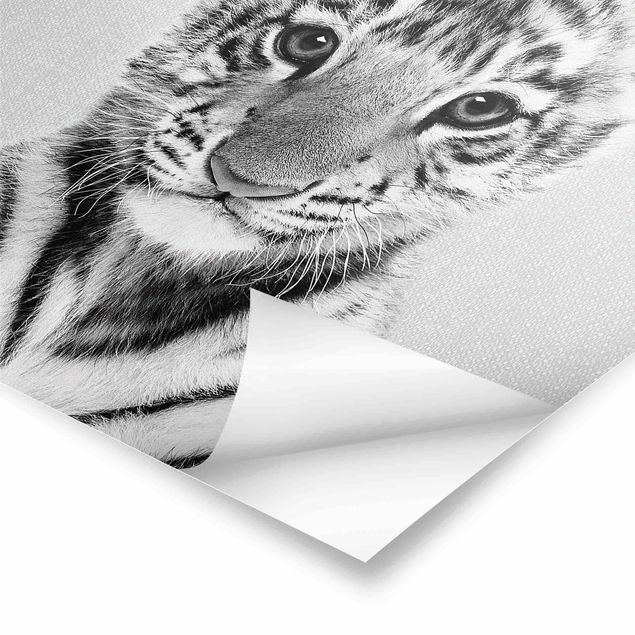 Billeder Gal Design Baby Tiger Thor Black And White