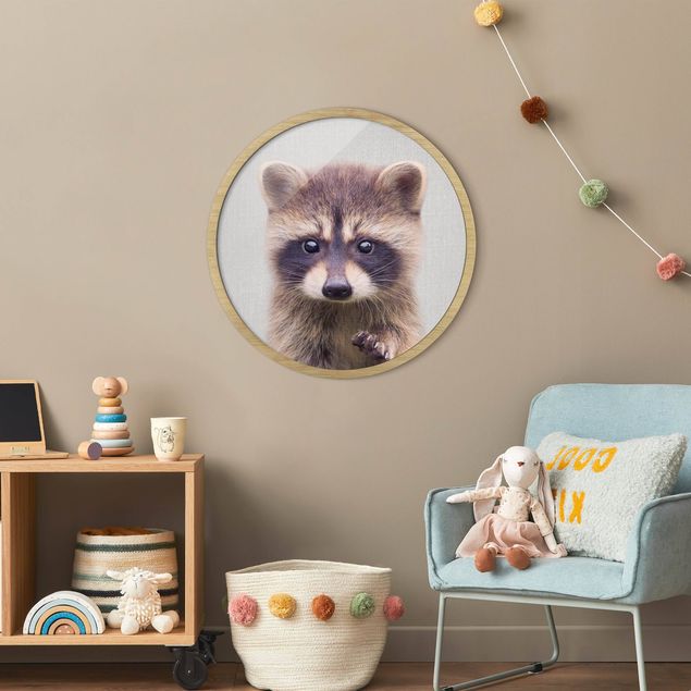 Rund billeder Baby Raccoon Wicky