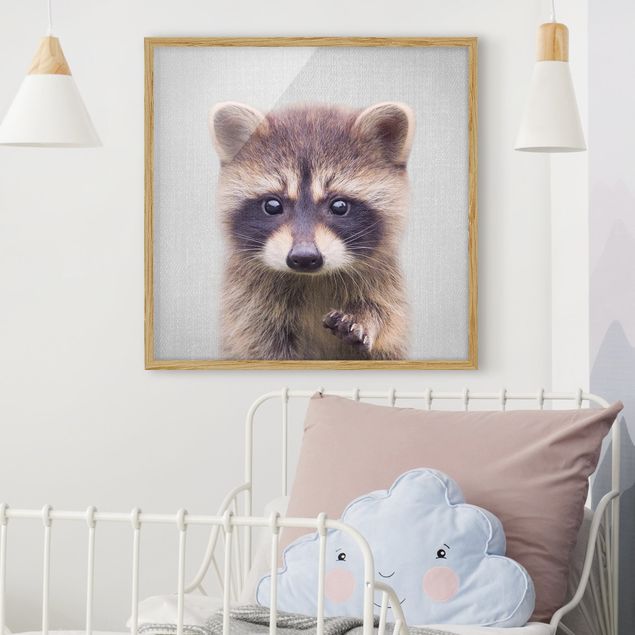 Billeder bjørne Baby Raccoon Wicky