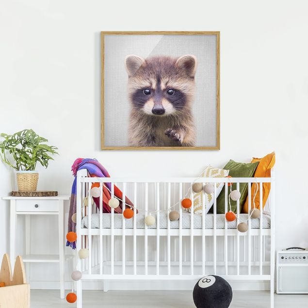 Indrammede plakater sort og hvid Baby Raccoon Wicky