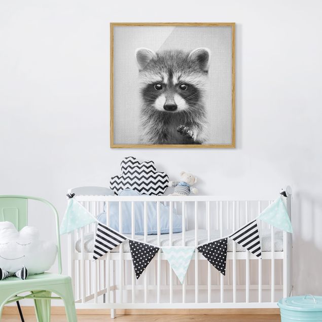 Indrammede plakater sort og hvid Baby Raccoon Wicky Black And White