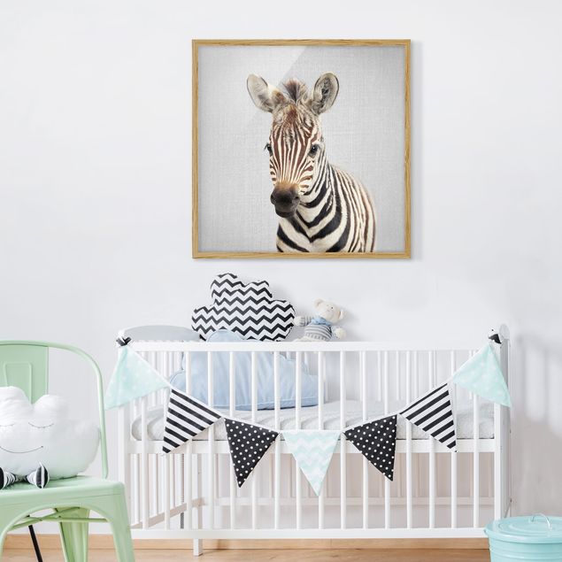 Billeder zebraer Baby Zebra Zoey