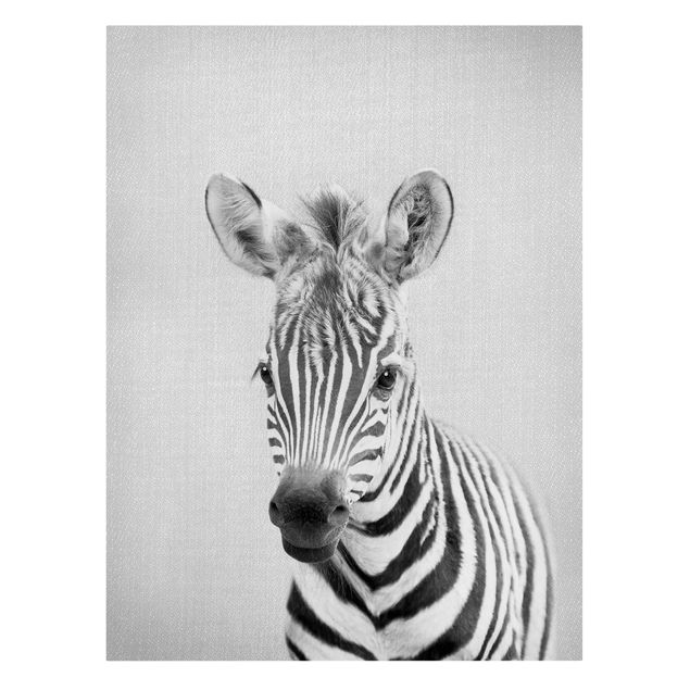 Billeder på lærred sort og hvid Baby Zebra Zoey Black And White
