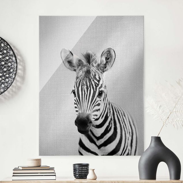Billeder zebraer Baby Zebra Zoey Black And White