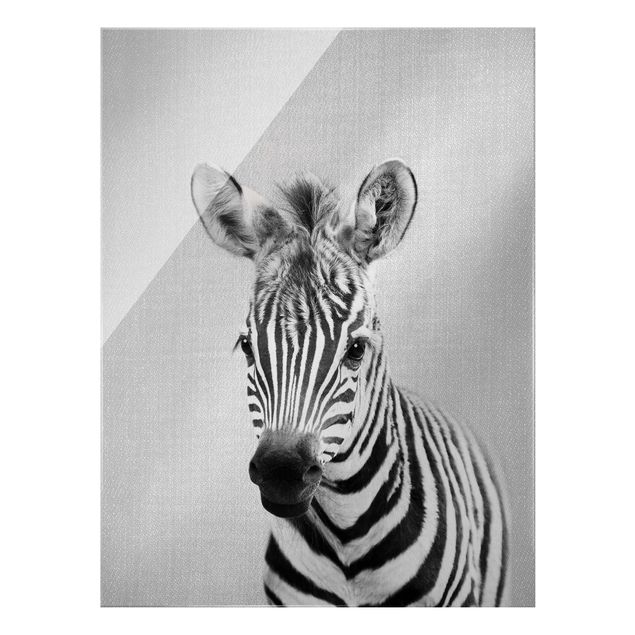 Billeder moderne Baby Zebra Zoey Black And White