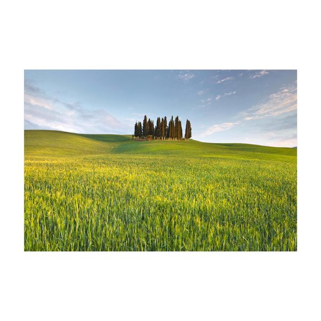 Tæpper natur Green Field In Tuscany