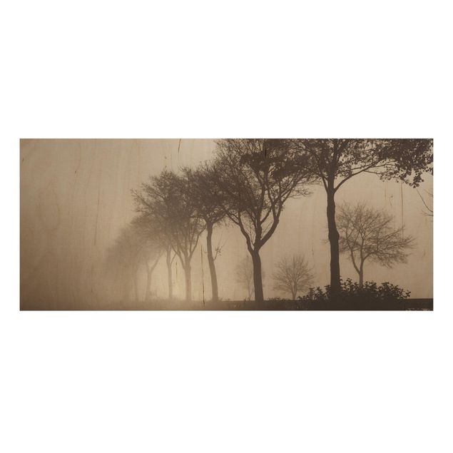 Prints på træ landskaber Tree Avanue In Morning Mist
