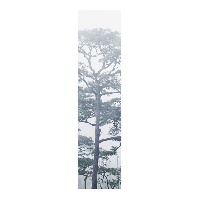 Panelgardiner landskaber Treetops In Fog
