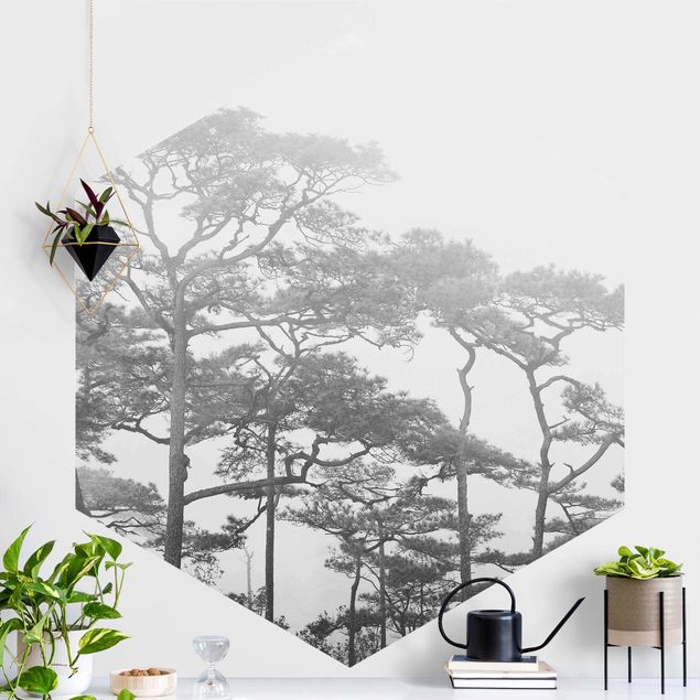 køkken dekorationer Treetops In Fog Black And White